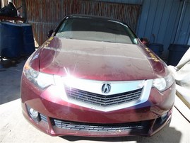 2010 Acura TSX Purple 2.4L AT #A24917